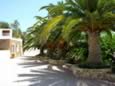 Ibizahotels_Cancarreu_0001.jpg (146kb)