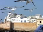 Marocco_06_Essaouira_Port_123.jpg (92kb)