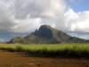 Mauritius04_nature_0047.jpg (52kb)