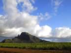 Mauritius04_other_2832.jpg (48kb)