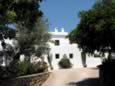Ibizahotels_Cancarreu_0000.jpg (127kb)