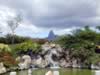 Mauritius04_nature_0077.jpg (80kb)